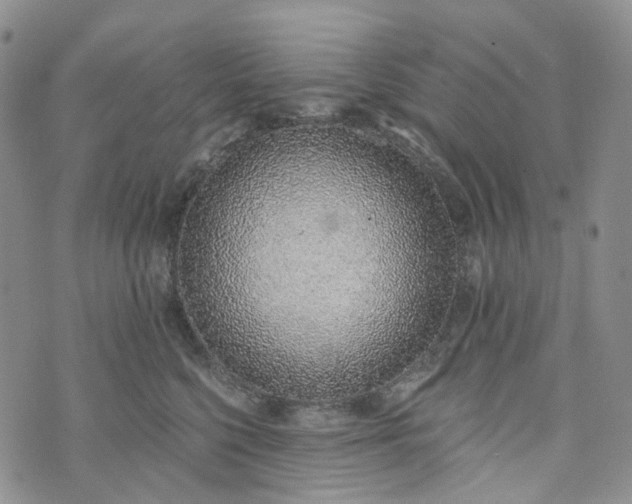 X0000072980568200608041246