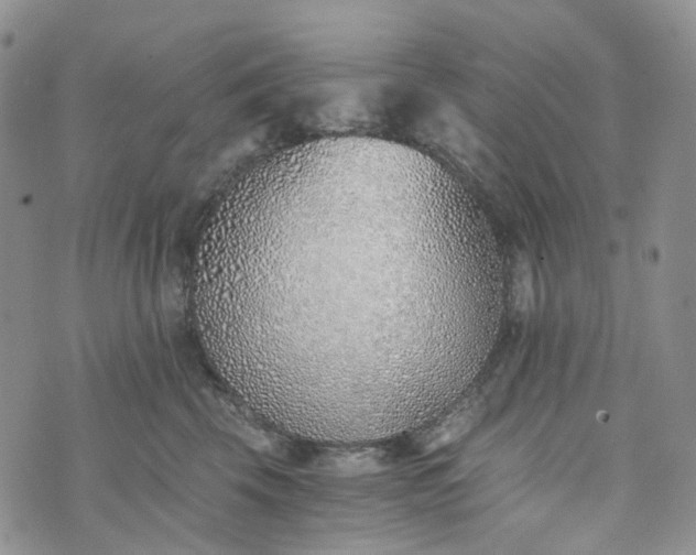 X0000072980569200608041246