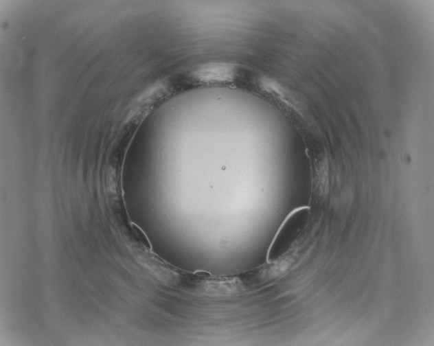 X0000072980571200608041246