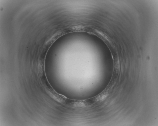 X0000072980572200608041246