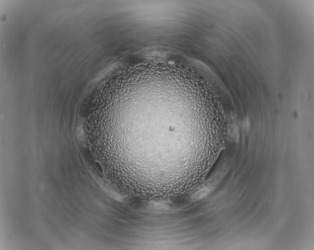 X0000072980573200608041246