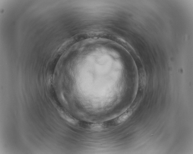 X0000072980574200608041246