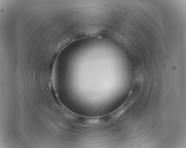 X0000072980575200608041246