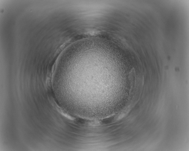 X0000072980576200608041246