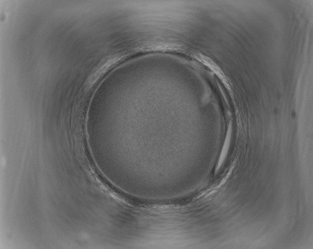 X0000072980577200608041245