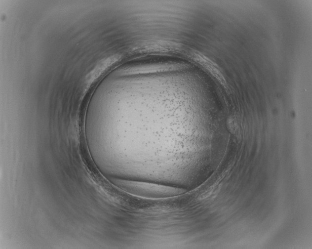 X0000072980578200608041245