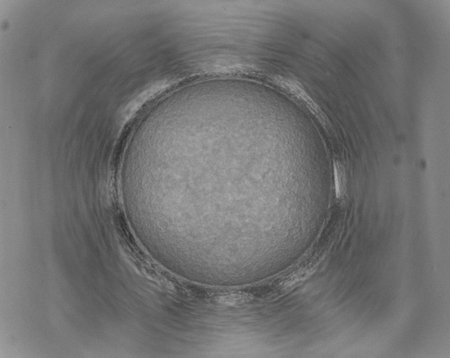 X0000072980579200608041245