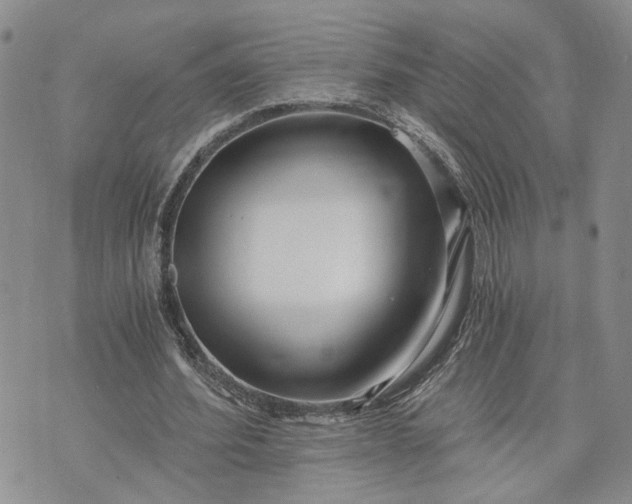 X0000072980580200608041245