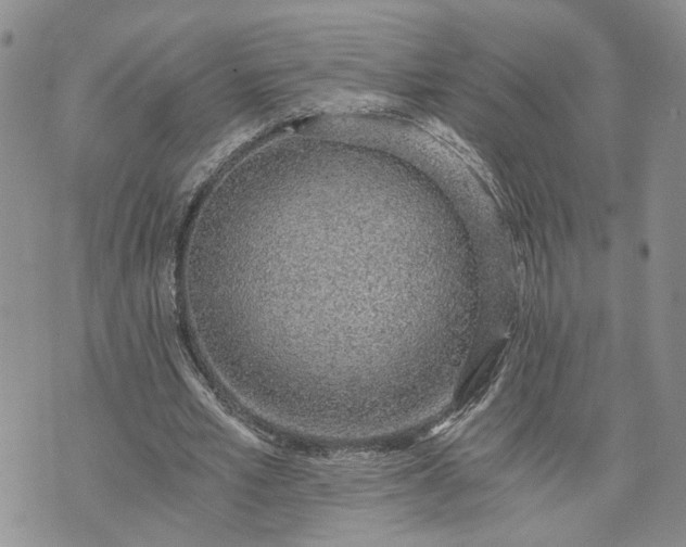 X0000072980581200608041245