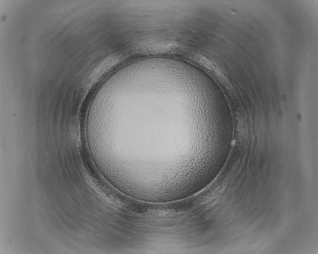 X0000072980582200608041245