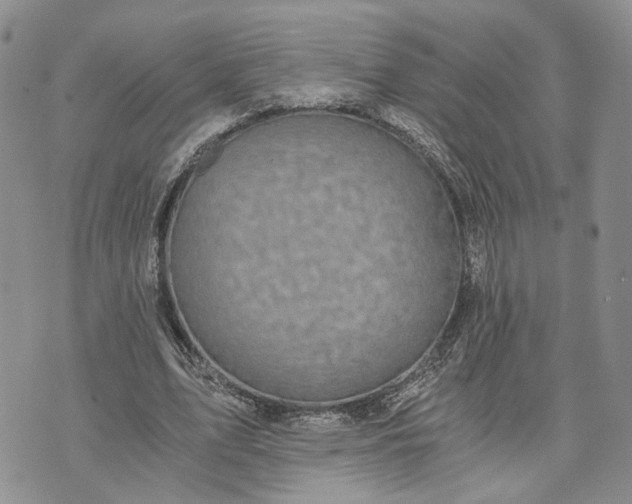 X0000072980583200608041245