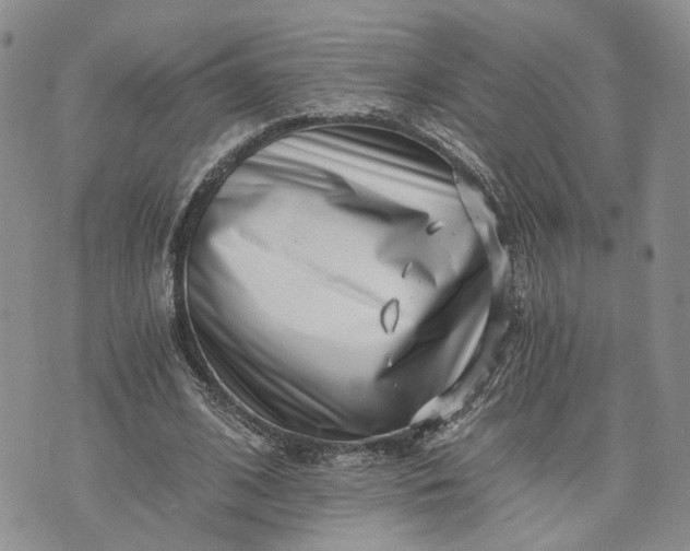 X0000072980584200608041245