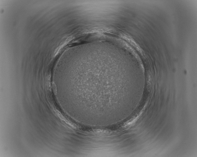 X0000072980585200608041245