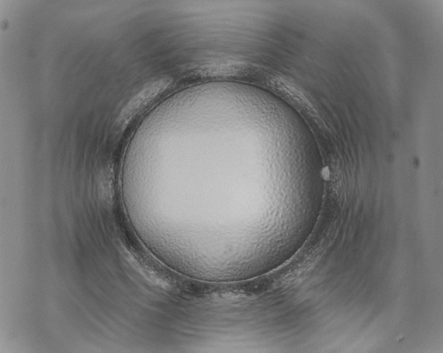 X0000072980586200608041245