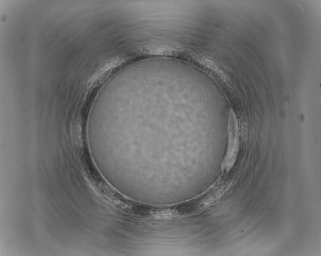 X0000072980587200608041245