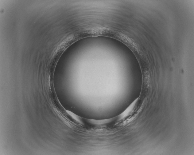 X0000072980589200608041245