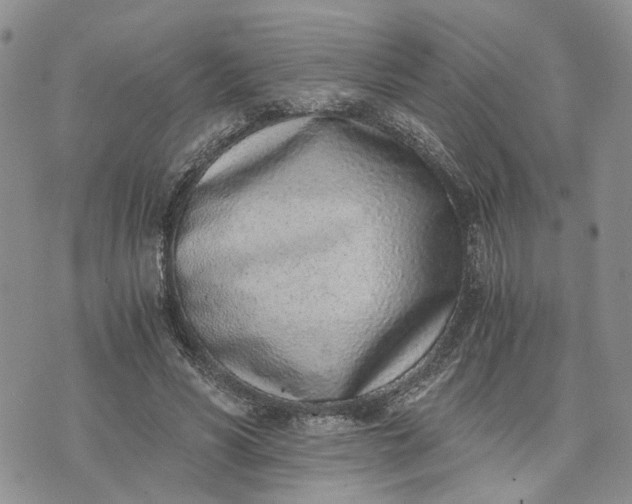 X0000072980590200608041245