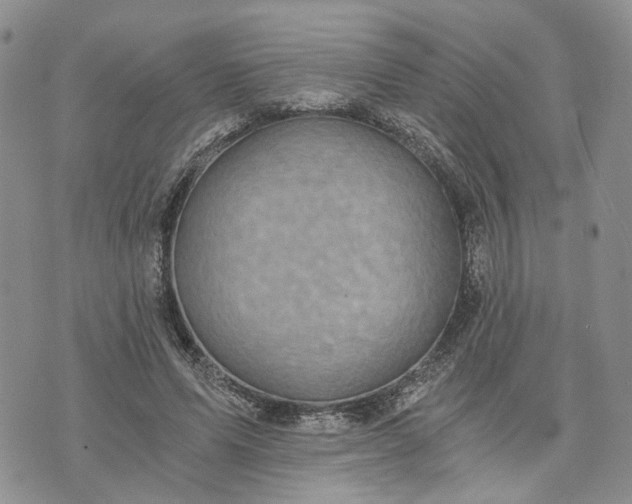 X0000072980591200608041245