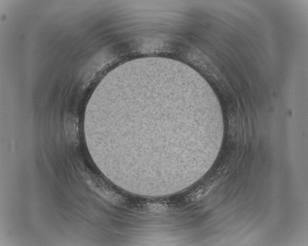 X0000072980592200608041245