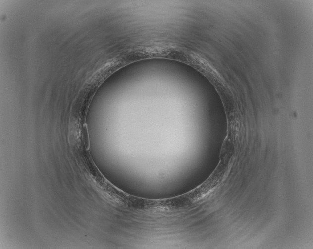 X0000072980593200608041245