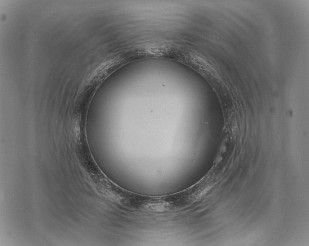 X0000072980595200608041245