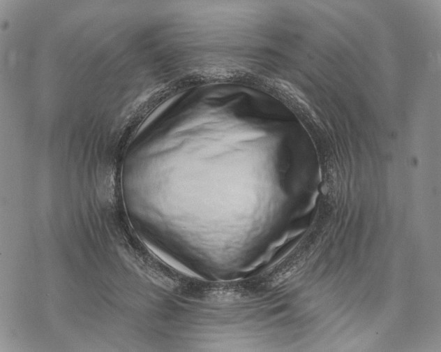 X0000072980596200608041245