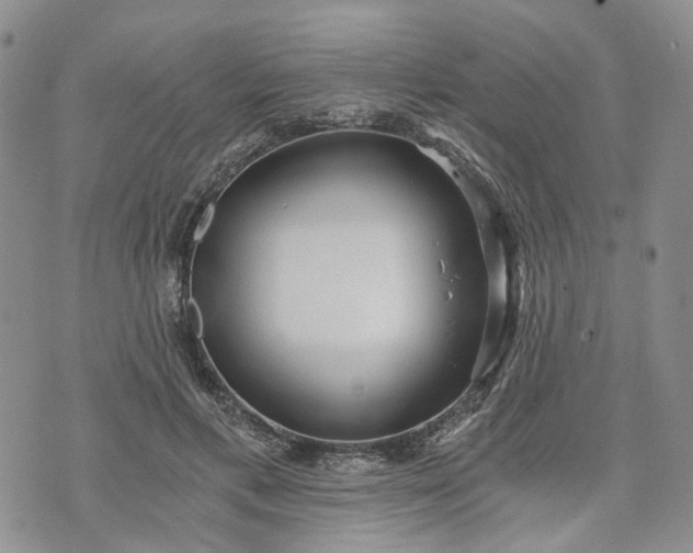 X0000072980597200608041245