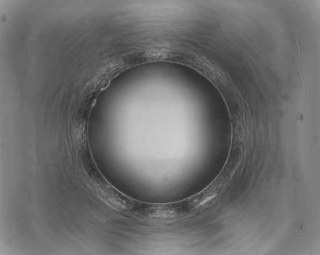 X0000072980601200608041245