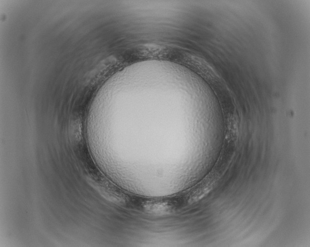 X0000072980602200608041245