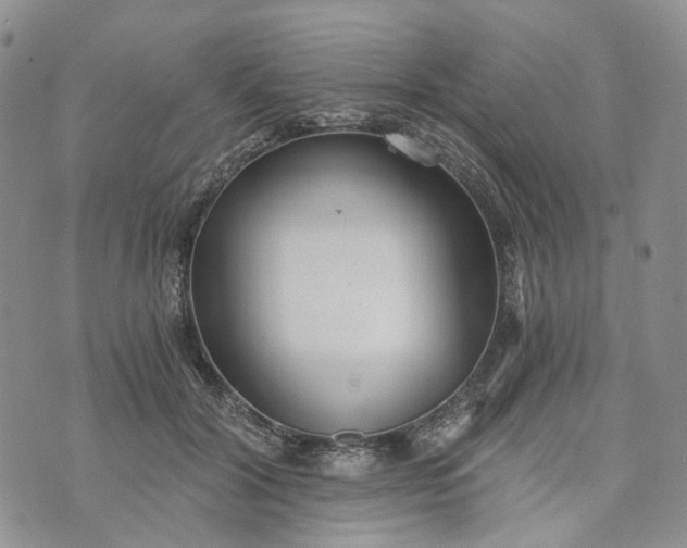 X0000072980604200608041245