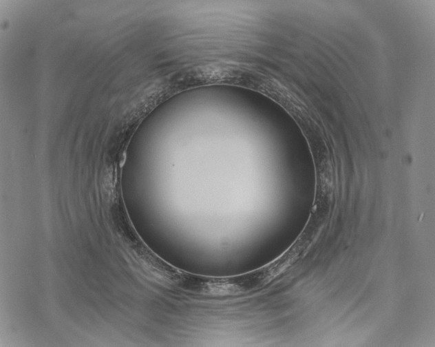 X0000072980605200608041245