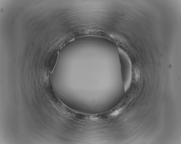 X0000072980607200608041245