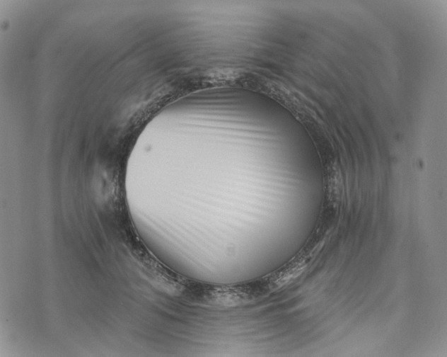 X0000072980608200608041245