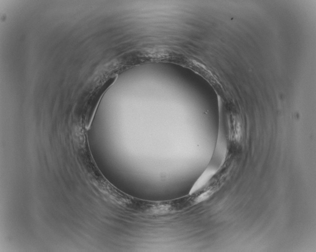 X0000072980609200608041245