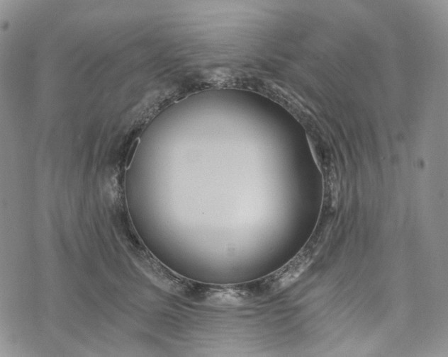 X0000072980611200608041245