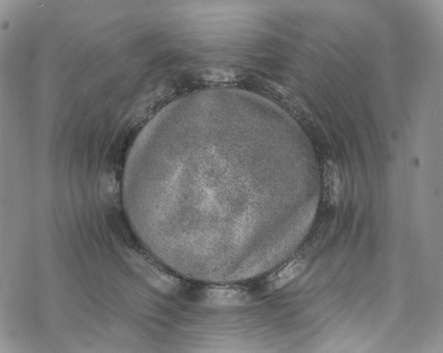 X0000072980614200608041245