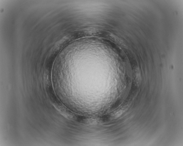 X0000072980615200608041245