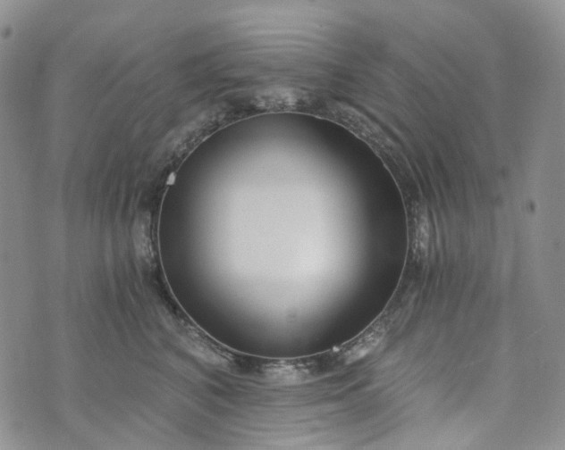 X0000072980616200608041245