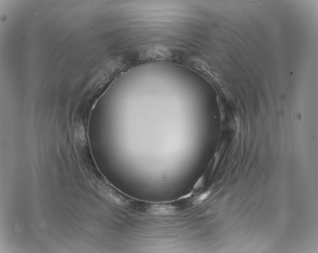 X0000072980617200608041245