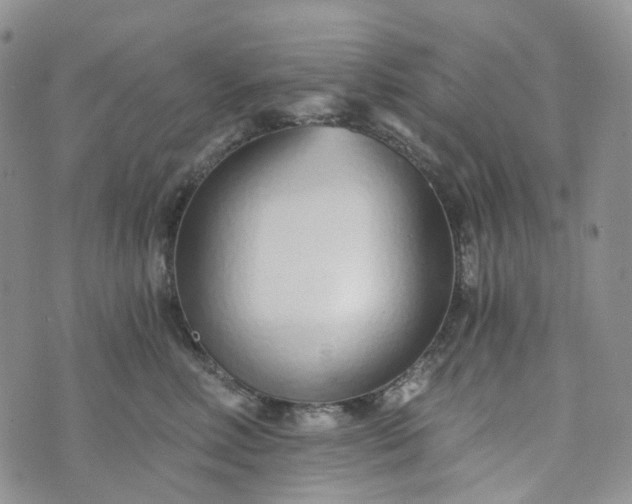 X0000072980618200608041245