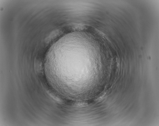 X0000072980619200608041245