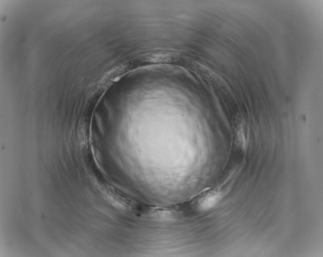 X0000072980620200608041245