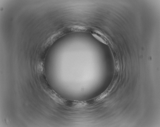 X0000072980621200608041245