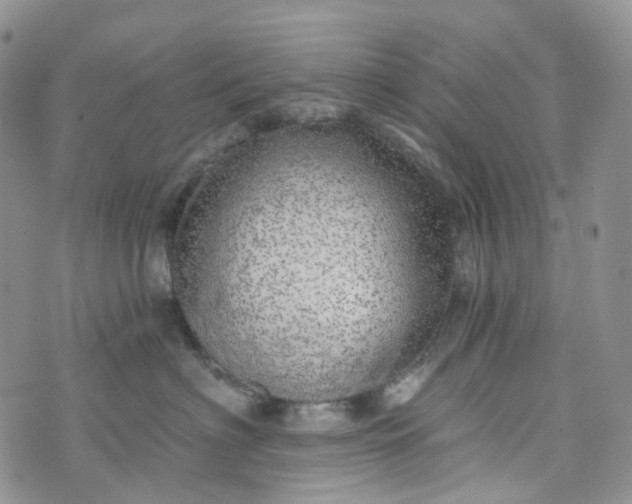 X0000072980622200608041244