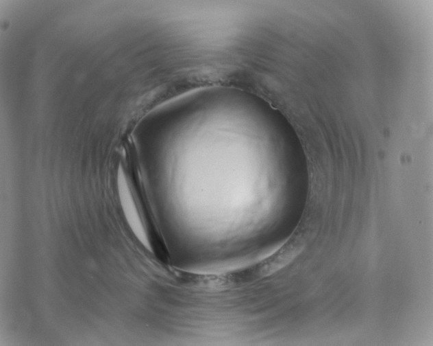 X0000072980624200608041244