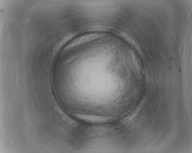 X0000072980625200608041244