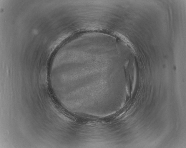 X0000072980627200608041244