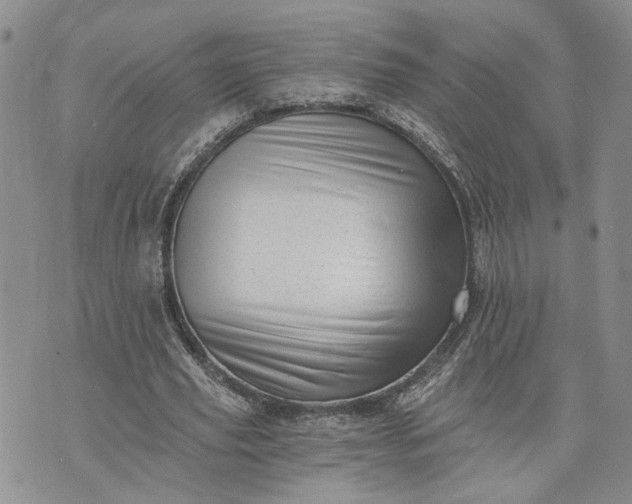 X0000072980629200608041244