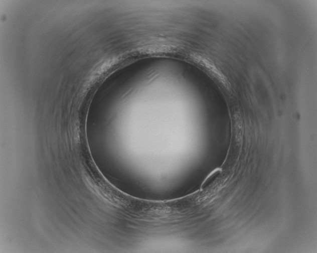 X0000072980631200608041244