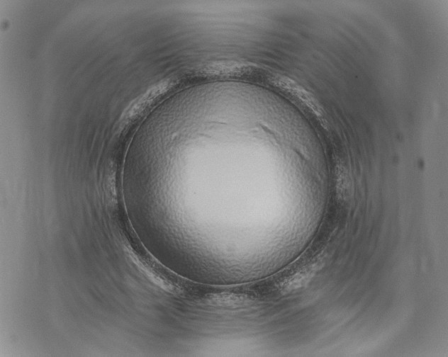 X0000072980633200608041244